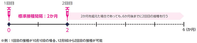 シングリックスの投与回数。標準は２か月開けて行う。２か月を超えた場合でも６か月以内に２回目の接種を行う